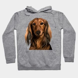 Long Haired Dach Illustration Hoodie